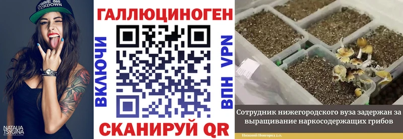 Галлюциногенные грибы Cubensis  Теберда 